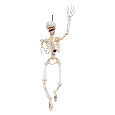 Poseable Skeleton with Lights 23x11x93cm