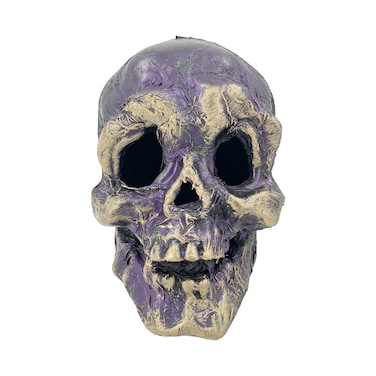 Light Up Skull 18x14x19cm