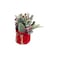 Flower PoinsettiaTable Centrepiece 20cm