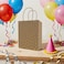 Golden Glow Kraft Bags Asst. Medium 18x10x23cm 6Pcs/Pk