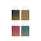 Golden Glow Kraft Bags Asst. Medium 18x10x23cm 6Pcs/Pk