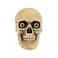 Halloween Skulls 2Pcs/Pk