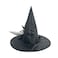 Halloween Witch Hat Adult Size
