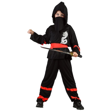 Stealth Ninja Warrior L