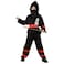 Stealth Ninja Warrior L