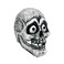Adult Skull Headgear