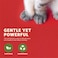 Thunder Paws Eco-Comfort Millet Cat Litter - 2.5KG
