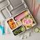 Planet Box ROVER Basic Stainless Steel Bento Lunch with 5 Compartments for Adults and Kids