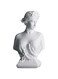 DOVDOV Greek Goddess Decoration, Young Venus Bust, Classic Roman Bust, Greek Mythology Decoration, for Home Decorative Statues, Home Office, Bedroom, Console, Shelf Decoration