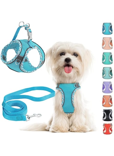 Small Dog Harness and Leash Set, No Pull Adjustable Reflective Breathable Mesh Step in Dog Harness Easy Walk Dog Harness for Extra Small/Small Medium Dog Cats Puppy Outdoor Hiking Training (Blue XS)