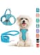 Small Dog Harness and Leash Set, No Pull Adjustable Reflective Breathable Mesh Step in Dog Harness Easy Walk Dog Harness for Extra Small/Small Medium Dog Cats Puppy Outdoor Hiking Training (Blue XS)