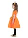 Pumpkin Girl Costume