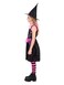Rainbow Web Witch Costume