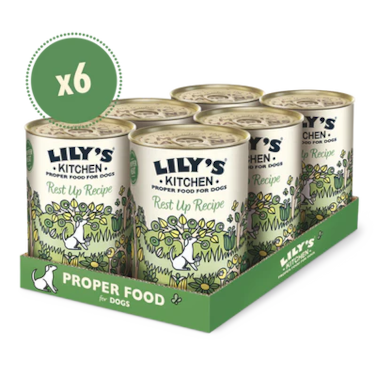 Lily's Kitchen Recovery Recipe Wet Dog Food 400G Pack of 6
