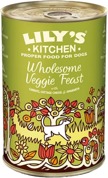 Lilys Kitchen Wholesome Veggie Feast Wet Dog Food (375g, Pack of 6 )
