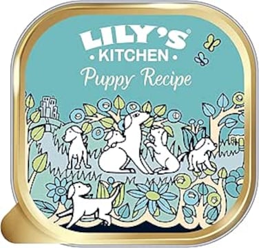 Lilys Kitchen Turkey &amp; Duck Recipe Puppy Food (400g, Pack of 6)