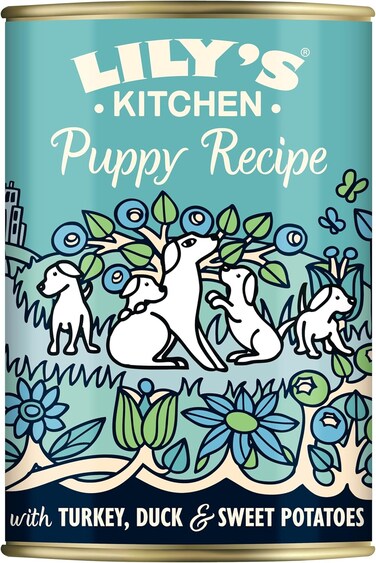 Lily's Kitchen Turkey &amp; Duck Puppy Wet Food 400g