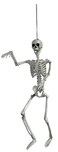 Poseable Skeleton 90cm