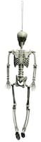 Poseable Skeleton 90cm