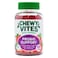 Chewy Vites Probiotic Support Adult Gummies, Pack of 60&rsquo;s