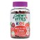 Chewy Vites Kids Multivit + Iron Gummies, Pack of 60&rsquo;s
