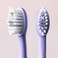 Ordo Toothbrush Sonic+ Electric - Violet (International Version)