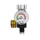 Mini Air Pressure Regulator With Gauge R1145