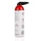 Flushing Spray (500ml), R2302