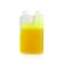 Universal (PAG Based) UV Dye (250ml) for R134/1234YF R2309