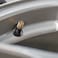 Tubeless Tyre Valve Tr413,Tr414,Tr418,Tr600hp 100 pcs/box R2749
