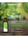 Beauty Ambition, Aloe Vera Oil 100% Pure for Skin Hydration &amp; Wound Healing, 150ml