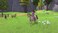 OG Outright Games Barbie'se Trails Pegi PS5