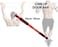 ULTIMAX Adjustable Doorway Pull-Up Bar &ndash; Home Gym Chin-Up Bar for Fitness &amp; Strength Training