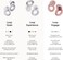 Loop Engage Earplugs for Conversation &ndash; Low-level Noise Reduction with Clear Speech &ndash; Social Gatherings, Noise Sensitivity &amp; Parenting &ndash; 8 Ear Tips in XS/S/M/L - SNR 16 dB coverage - Rose