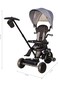 QPLAY Elite Platinum 6-in-1 Tricycle for Kids 10M-6Y+