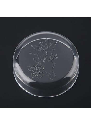 Shrimp Feeding Container Water Food Dish Shrimp Feeder, Shrimp Feeding Tray, Acrylic for smaller reptile for shrimp