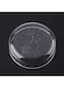 Shrimp Feeding Container Water Food Dish Shrimp Feeder, Shrimp Feeding Tray, Acrylic for smaller reptile for shrimp