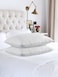 MAXQON 1-Piece Bed Pillow Striped White Hotel Standard Extra Soft Microfiber Anti Allergic&amp;Anti-bacterial,  Size(50x70CM)