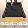 Jinou Walking Pad - Made with Upgraded Electronics and Premium Quality Aluminium and Pvc Plastic &ndash; Treadmill with Foldable Handle &ndash; For Walking and Running