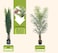 Essentials 360&reg; Artificial Plant Areca Palm Tree 150cm High, Artificial Plants Fake Plant with Pot, Outdoor &amp; Indoor Artificial Tree for Home Decor, Lifelike Texture Faux trees, Decorative Faux Plants