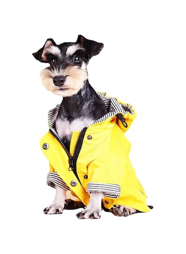 Skateboard Frog Dog Raincoat with Hood and Zipper Closure Waterproof Dog Raincoat (Medium,Yellow)