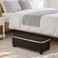 Home Max Flip-Top Storage Box With Wheels - Black