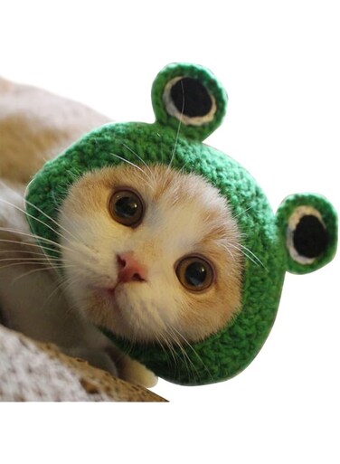 Pet Headwear Cute Warm Pet Dog Cap Cat Hat (Green, Small)