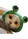 Pet Headwear Cute Warm Pet Dog Cap Cat Hat (Green, Small)