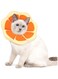 Soft Adjustable Cat Cone Collar, Comfortable Cat Recovery Collar Suitable for Various Types of Cats,Neck Protective Collar for Cats After Surgery (Orange, S)