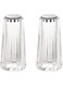 Acrylic Salt and Pepper Shakers Set with Stainless Steel Lid, 1.5oz Clear Spice Herb Dispenser for Dining Table and Farmhouse Kitchen Decoration
