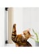 BEBOBLY Wall Mounted Cat Scratching Post for Indoor Cats   Kitten Wall Shelves Climbing Furniture  Sisal Rope Cat Claw Scratcher Tree   Solid Wooden Walkway for Cage Mounted Climbing Relaxing