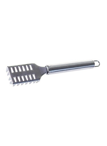 Stainless Steel Scale Scraper Silver