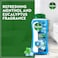 Dettol Cool Shower Gel &amp; Body Wash, Menthol &amp; Eucalyptus Scent, 250ml