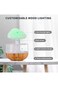 Rain Cloud Humidifier with Raindrop Sound and Night Light, Aromatherapy Diffuser, Mushroom Wa